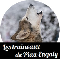 Les Traineaux de Piau-Engaly